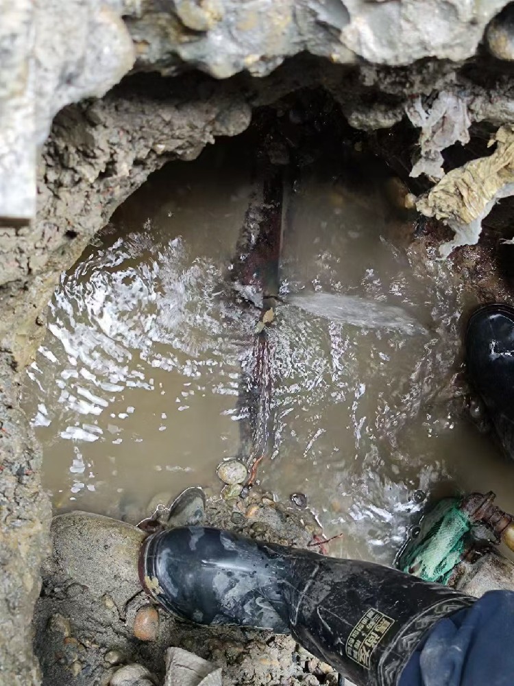 阜阳本地服务：小区水管漏水检测维修